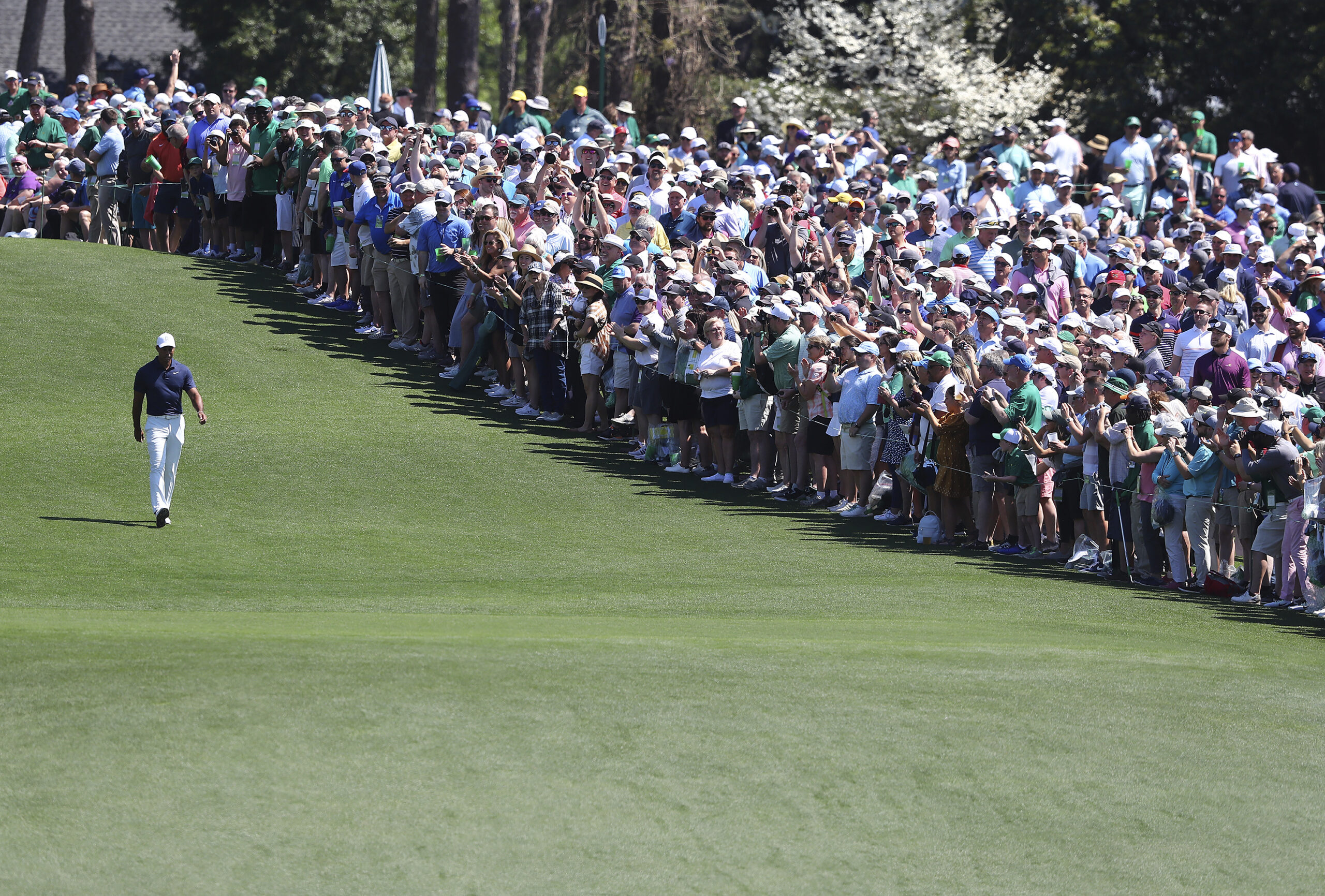 The giant gallery of patrons following five-time Masters champion Tiger Woods applaude as he walks down the first fairway after teeing off to begin his practice round for the Masters at Augusta National Golf Club in Augusta, Ga., Monday, April 4, 2022. (Curtis Compton /Atlanta Journal-Constitution via AP)