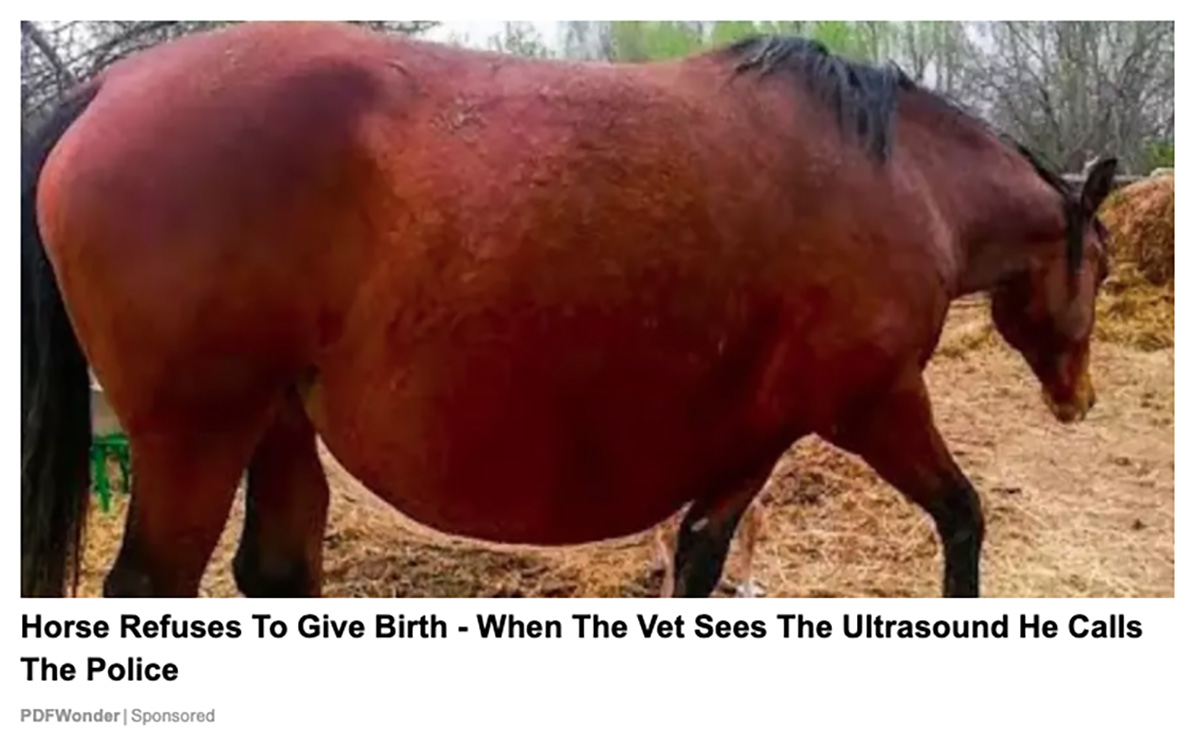 An online ad claimed that a horse refuses to give birth and when the vet sees the ultrasound he calls the police and a YouTube video also said the owner couldn't believe her eyes when she saw whom her horse gave birth to.