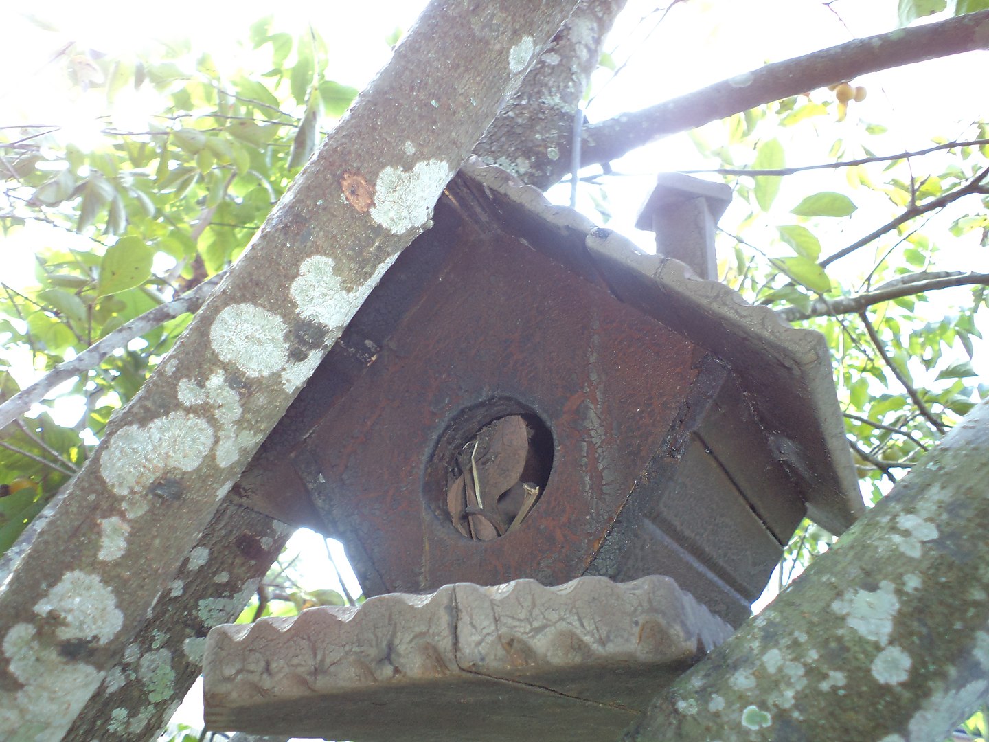 Bird Feeder, Outdoors, Porch