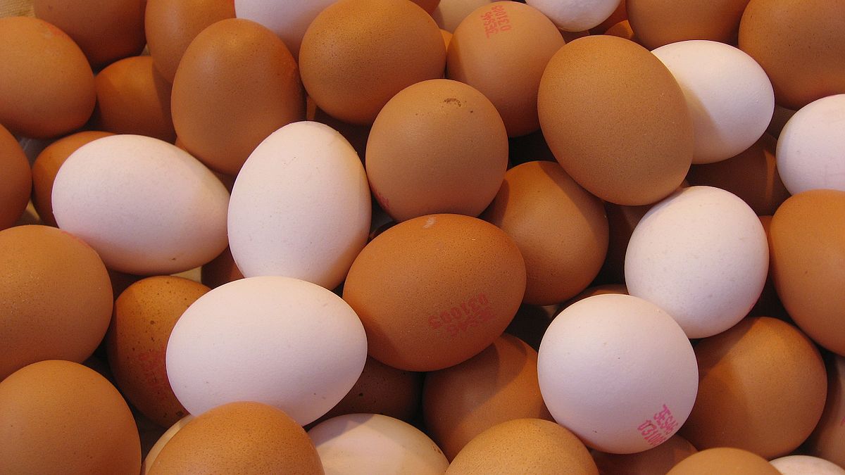 will eggs cost $12 per dozen by fall 2022?