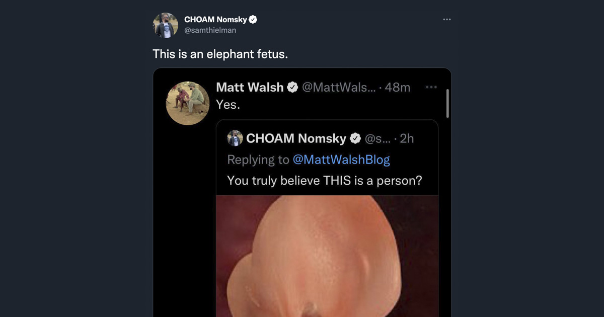 According to Google cache on the subject of abortion Matt Walsh tweeted support of an elephant fetus when perhaps believing it showed that of a human.