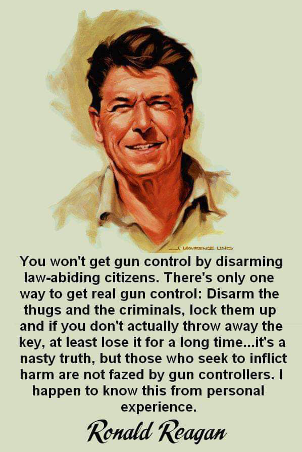 A quote meme claimed that former U.S. President Ronald Reagan once said that "you won't get gun control by disarming law-abiding citizens" and also called it "a nasty truth" that "those who seek to inflict harm are not fazed by gun control laws."
