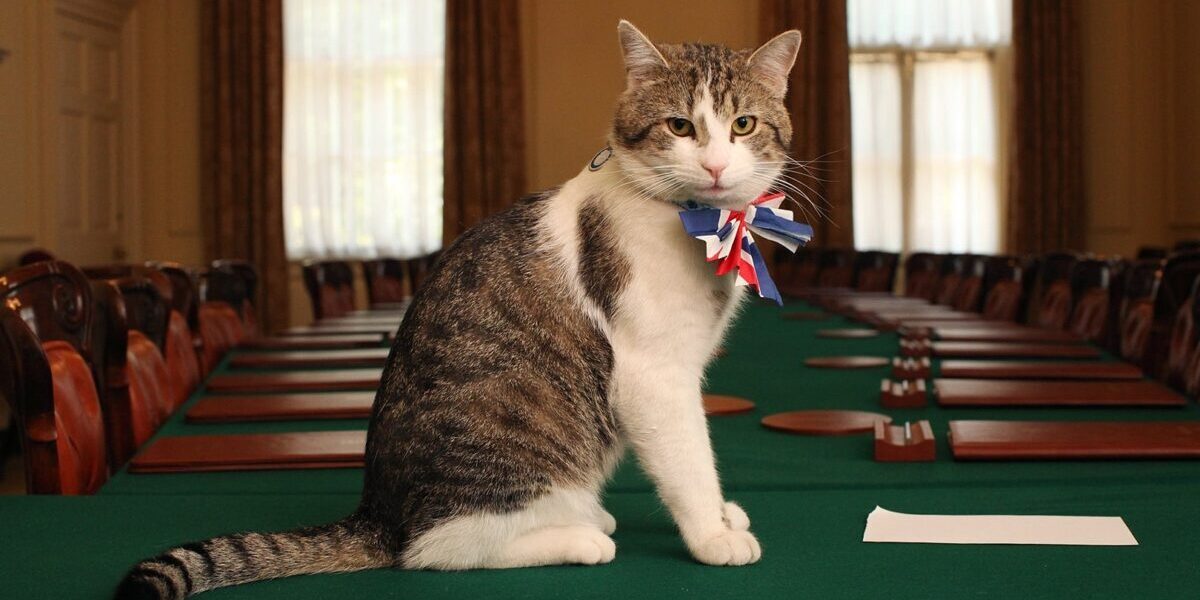 Larry the Cat has outlasted three UK prime ministers