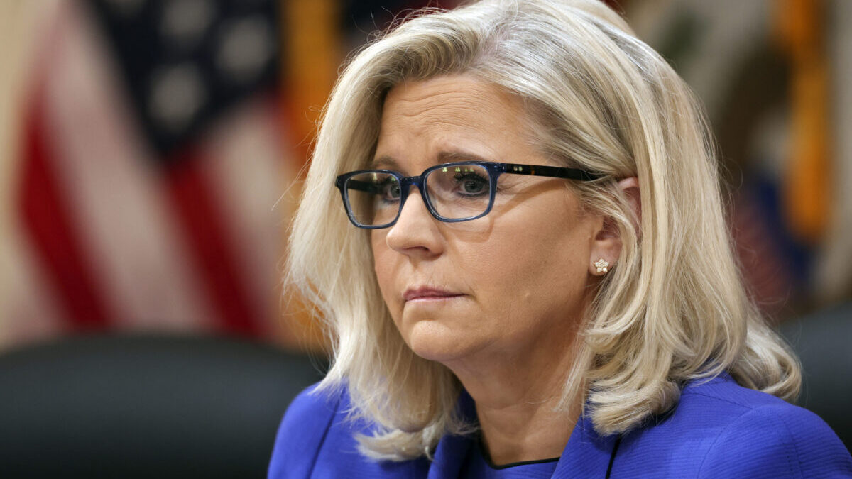 Liz Cheney said the words very sick about the Republican Party, saying I think it also tells you that large portions of our party including the leadership of our party both at the state level in Wyoming as well as on a national level with the RNC is very sick.