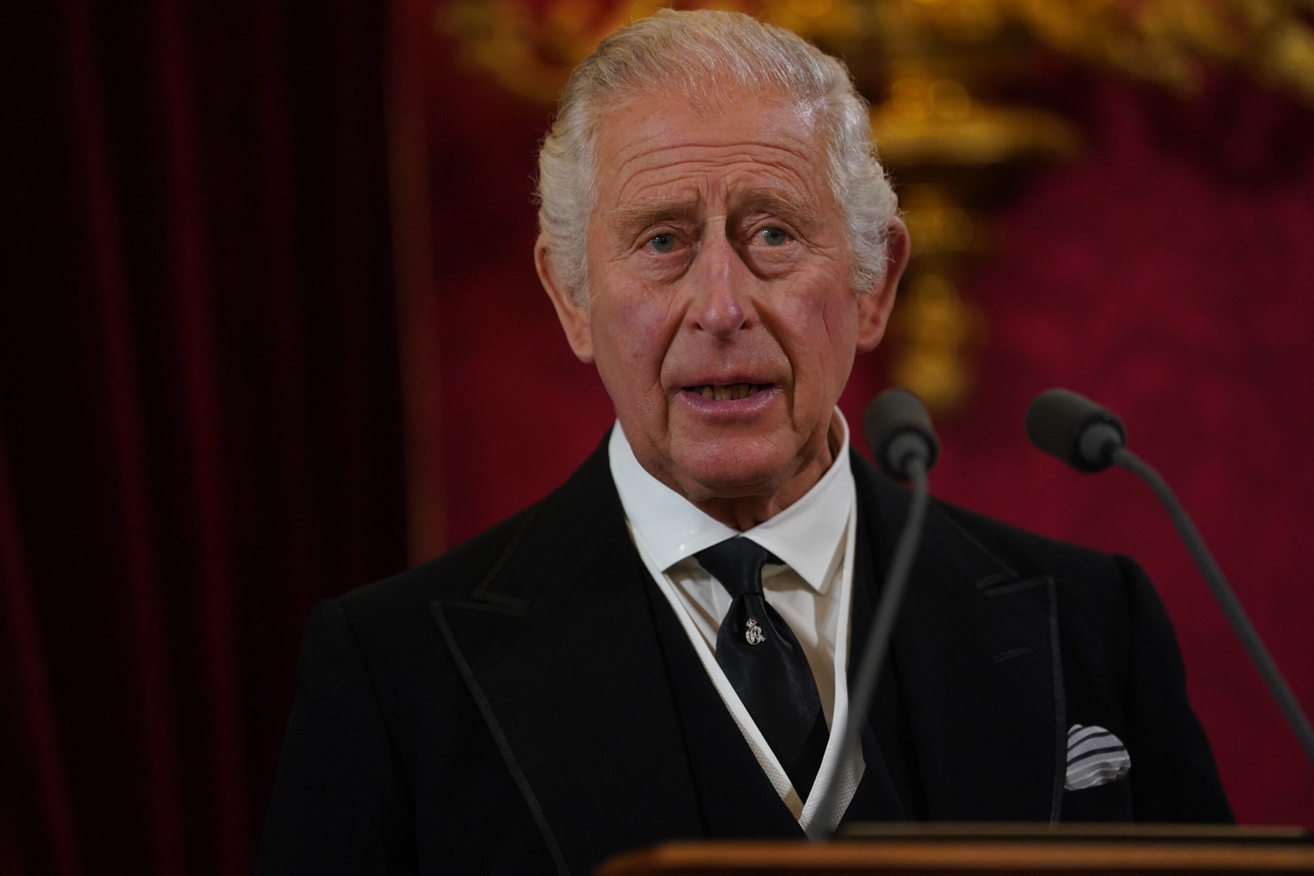 King Charles III during the Accession Council at St James's Palace, London, Saturday, Sept. 10, 2022, where he is formally proclaimed monarch. (Victoria Jones/Pool Photo via AP)