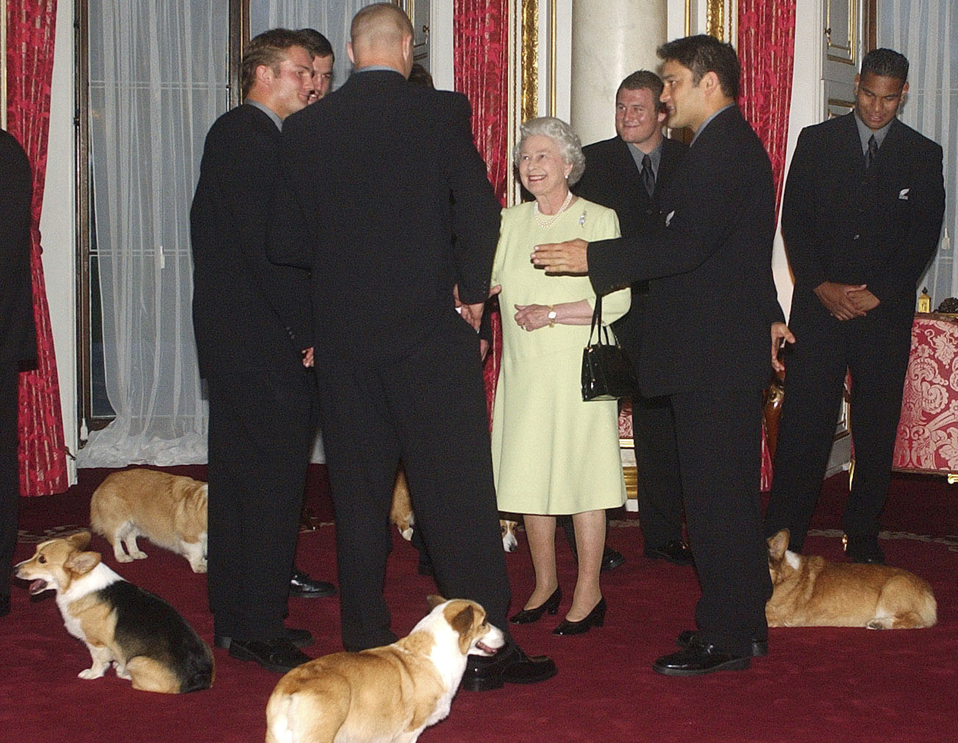 FILE - Britain's Queen Elizabeth II meets the New Zealand All Blacks rugby team will the royal corgis in attendance at Buckingham Palace, London Tuesday Nov. 5, 2002. Queen Elizabeth II's corgis were a key part of her public persona and her death has raised concern over who will care for her beloved dogs. The corgis were always by her side and lived a life of privilege fit for a royal. She owned nearly 30 throughout her life. She is reportedly survived by four dogs. (AP Photo/Kirsty Wigglesworth, Pool)
