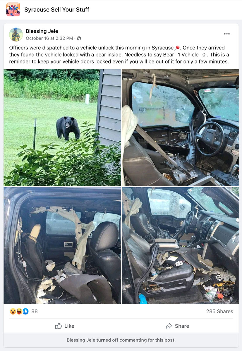 Facebook posts claimed that officers were dispatched to a vehicle unlock this morning in a town and that once they arrived they found the vehicle locked with a bear inside, needless to say bear - 1 and vehicle - 0."