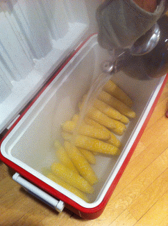 Cooler corn></p>
<p>However, that something works doesn’t necessarily equate with its being a good idea. Coolers (also known as portable ice chests) are fashioned by placing insulating material between hard plastic inner and outer shells. They are not meant to be used as cooking vessels, and potentially dangerous chemicals could leach from the plastic used in their manufacture into the corn being prepared there.</p>
<p>The inner liners of coolers are typically made of polypropylene or reground polyethylene, substances not known to contain <a href=