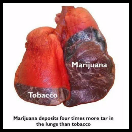 Marijuana may contain more tar than tobacco-based cigarettes, but that doesn't necessarily mean the health risks of smoking it are greater.