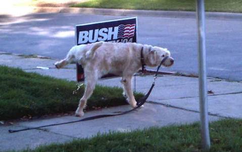 Bush/Cheney campaign sign