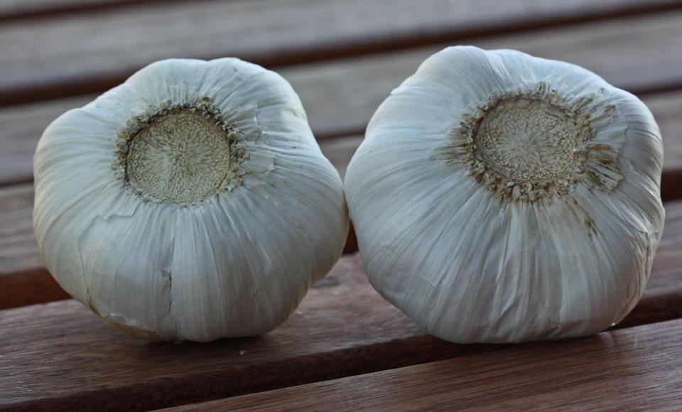 garlic from china