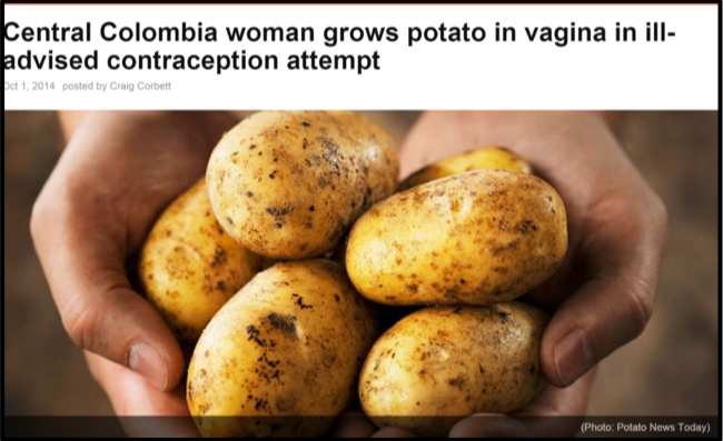 potato vagina