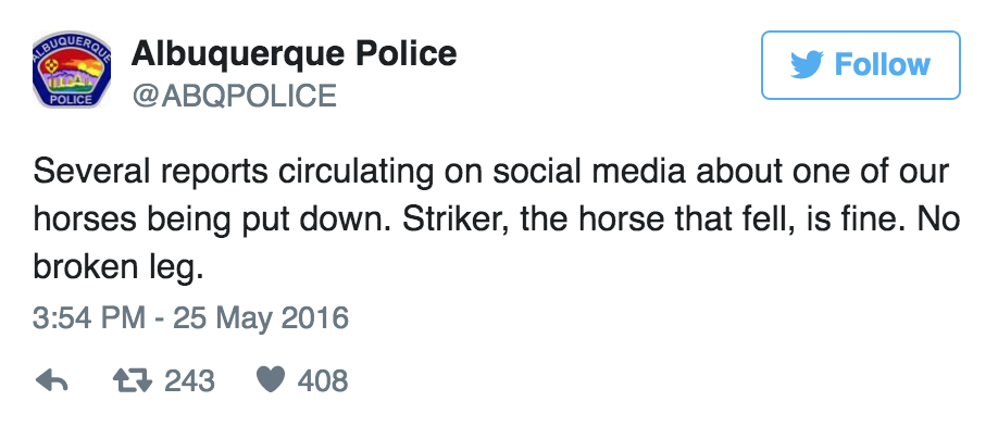 Albuquerque Police horse tweet