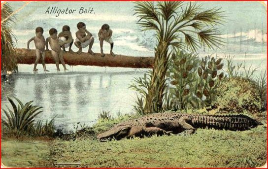 alligator bait
