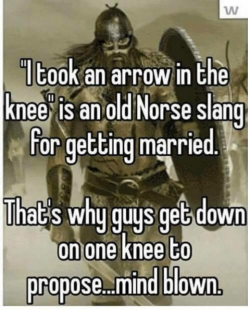 I took an arrow in the knee