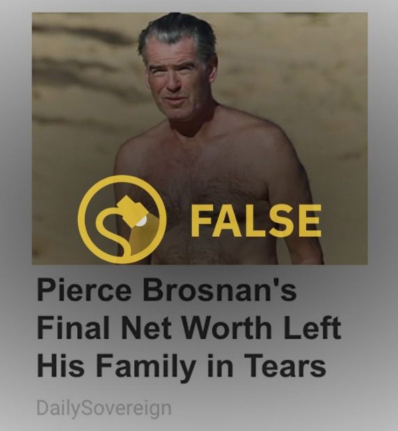 pierce brosnan's final net worth left his family in tears