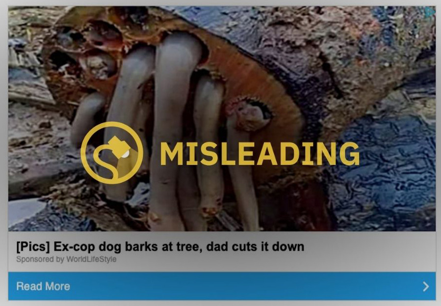 Pics Ex-cop dog barks at tree dad cuts it down ex-police