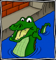 Alligator in sewer